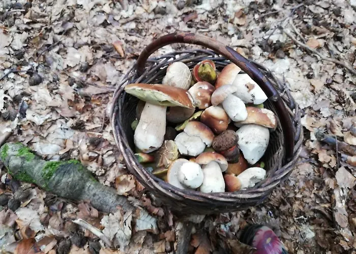 Se Zahradou Tatil Evi Týnec nad Labem